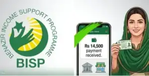 BISP 8171 Payment Check 2026